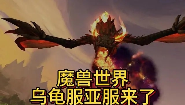 《魔兽世界》：国服停服233天后的坚守